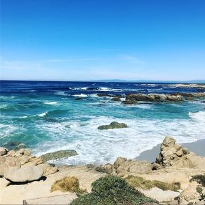 Meet your Posher, Tamara